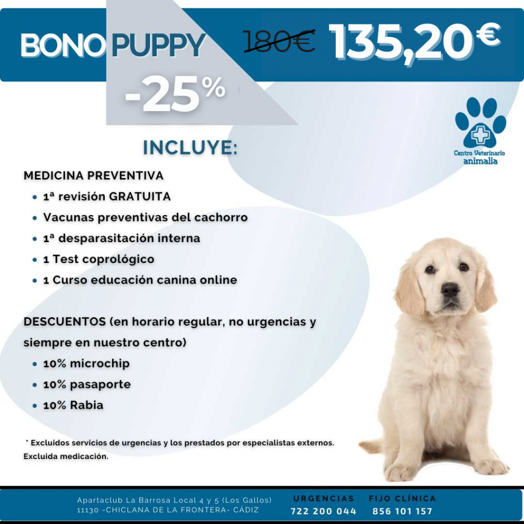 vacunas cachorro cadiz 2